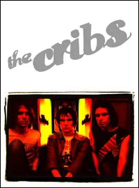 The Cribs image